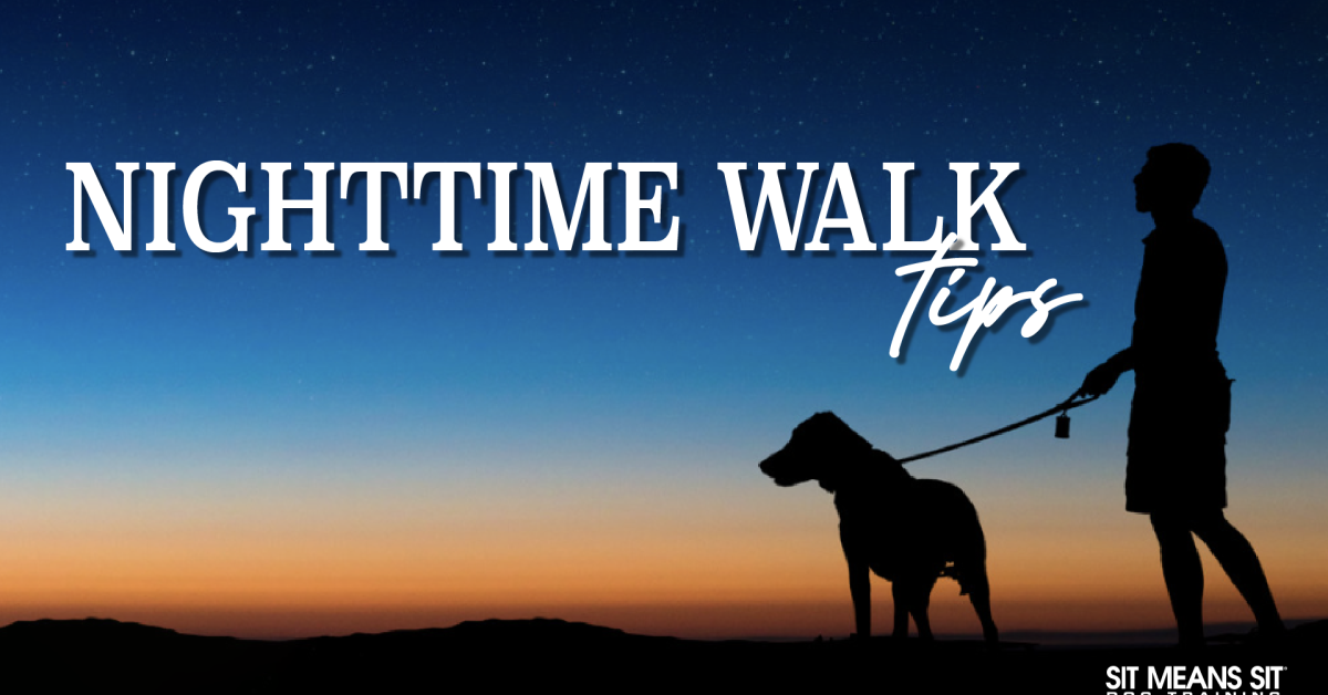 A man walking a dog with the text nighttime walk tips