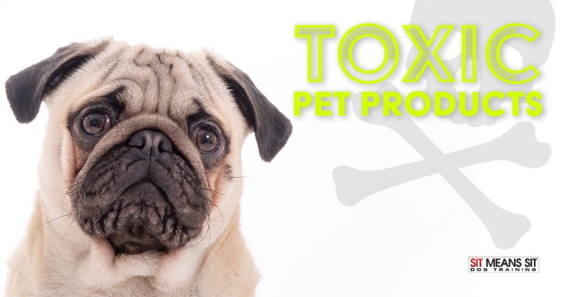 Toxic Pet Products