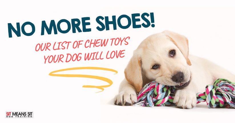 Things That Are Way Better For Dogs To Chew On Than Your New Shoes
