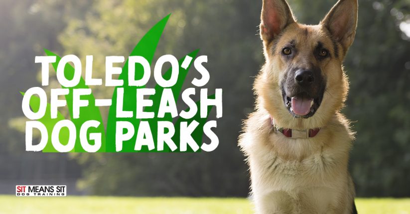 Toledo's Off-Leash Dog Parks