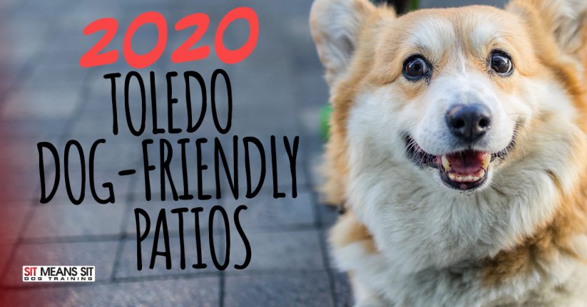 Toledo Dog-Friendly Patios 2020