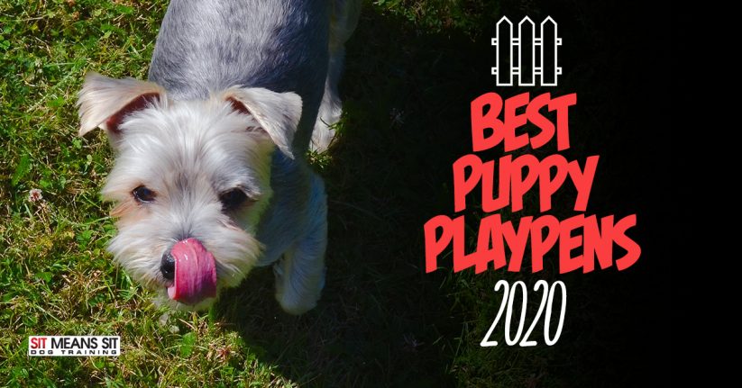 Best Puppy Playpens for 2020