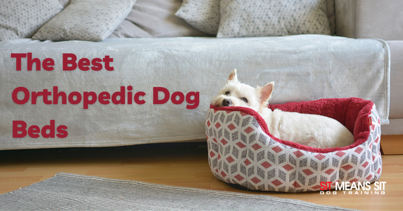 A dog laying in a dog bed with the text the best orthopedic dog beds poster