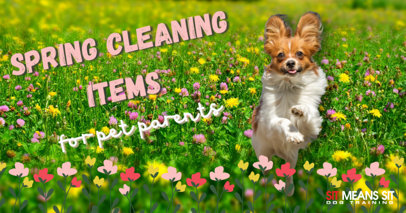 A dog running in a flower field with the text spring cleaning items for pet parents