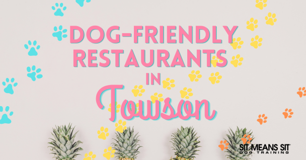 Dog friendly restaurants in Townson poster