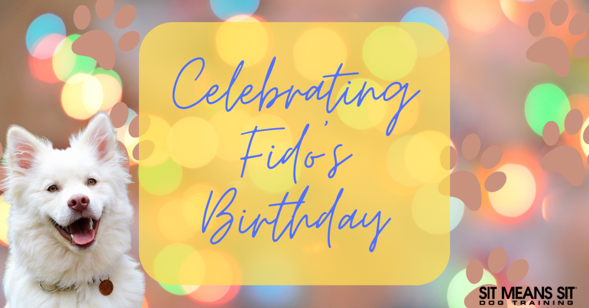 A white dog smiling on a poster with the text celebrating fido's birthday poster