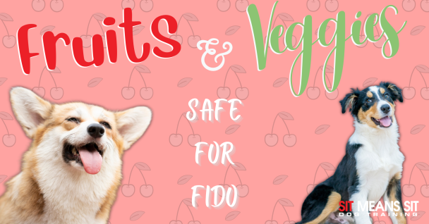 Two dogs with the text fruits and veggies safe for fido poster