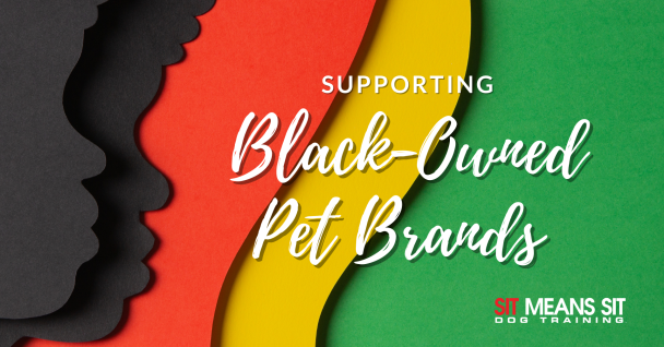 Supporting black owned pet brands poster