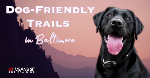 A black dog with the text Dog-friendly trails in Baltimore poster