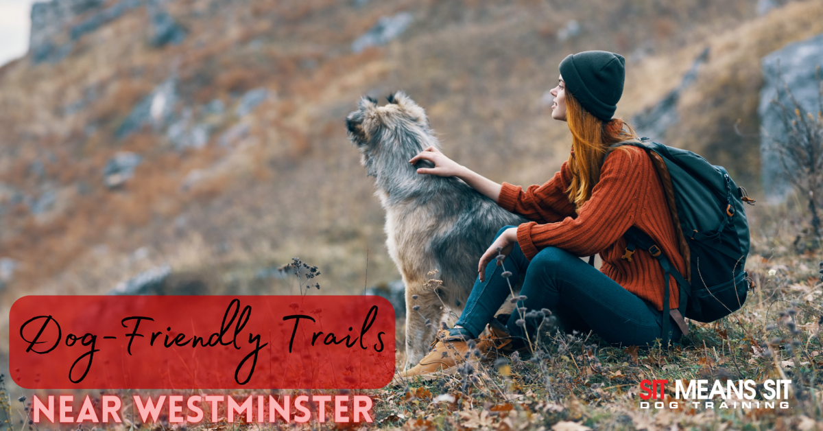 A woman in a knit hat sits beside a dog on a scenic trail, promoting dog-friendly hiking near Westminster.