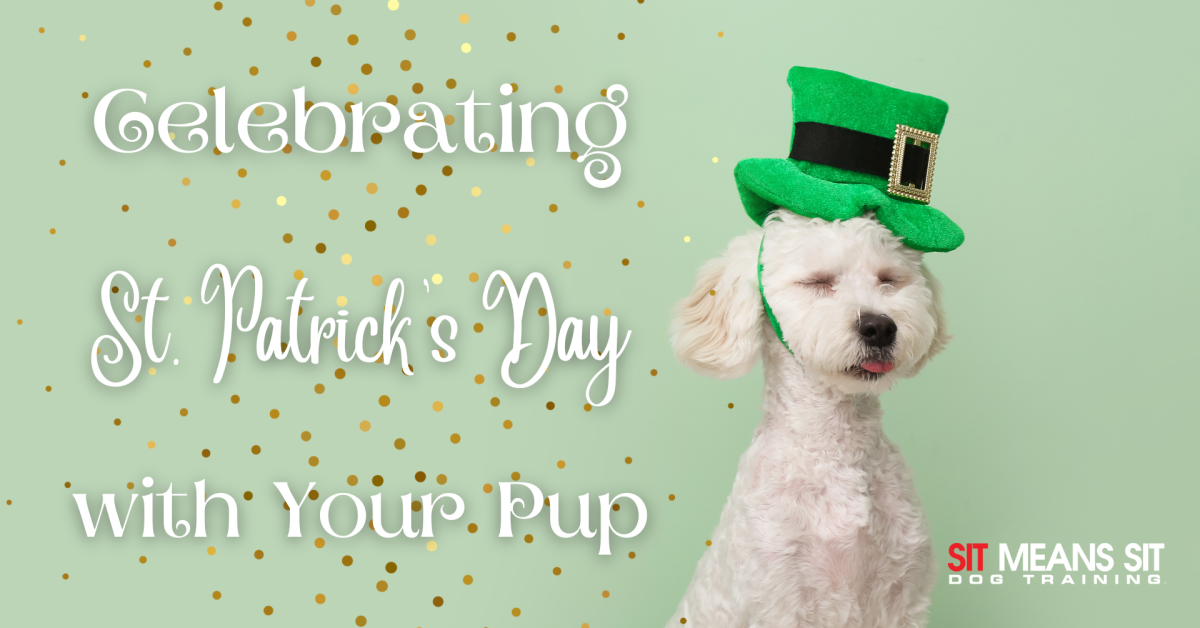 A cheerful dog wearing a green leprechaun hat against a light green background, celebrating St. Patrick's Day.