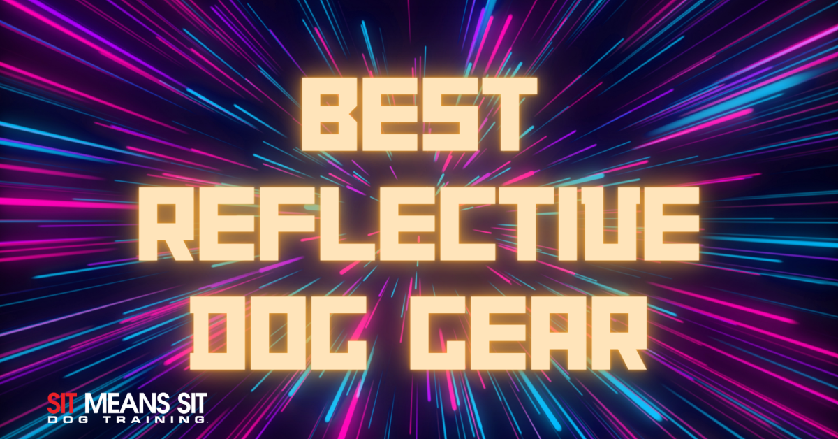 Text on a colorful, dynamic background reads "Best Reflective Dog Gear."