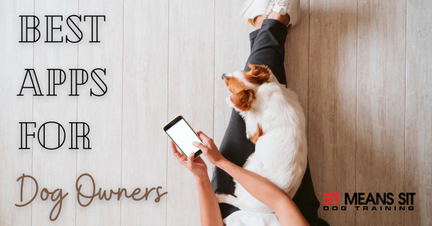 A person sitting with a small dog, using a smartphone, with text about dog owner apps.