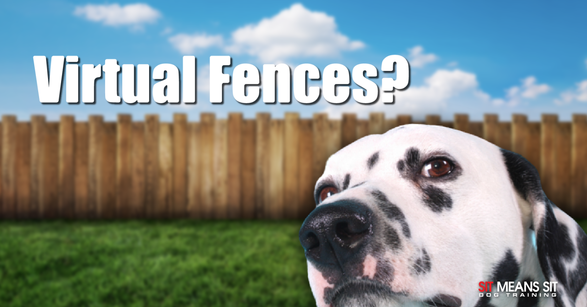 A close-up of a dog's face with a wooden fence and blue sky in the background, asking about virtual fences.