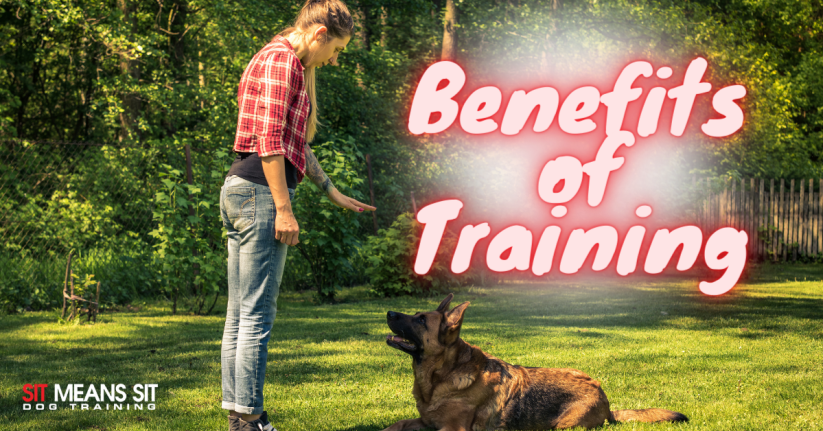 A woman training a dog outdoors with the text "Benefits of Training" in the background.