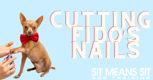 A small dog in a bow tie sits while its nails are being trimmed. Text reads "Cutting Fido's Nails."