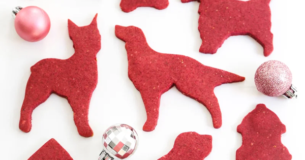 Festive Dog-Friendly Christmas Cookies