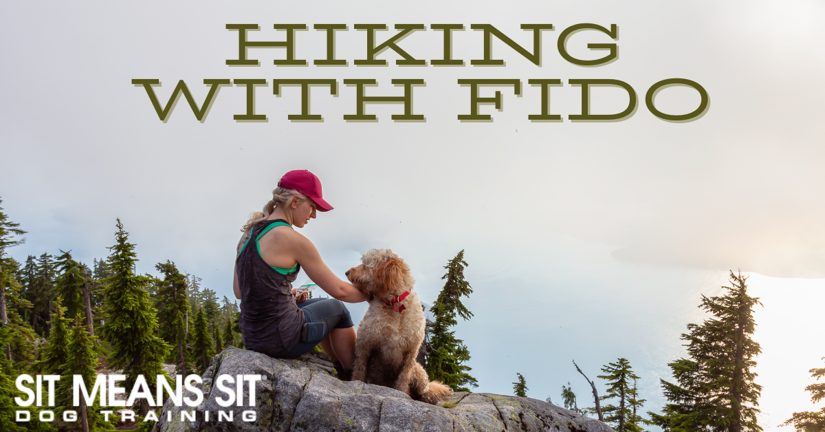 A hiker sits with a dog on a rock in a forest, with the text "Hiking With Fido" above.