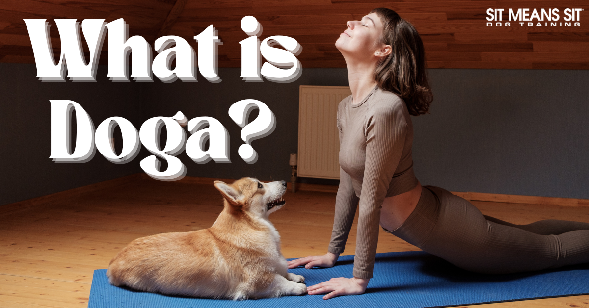 A person practicing yoga with a dog beside them, accompanied by the text "What is Doga?"
