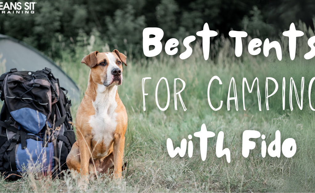 A dog sits next to a camping backpack, with text promoting the best tents for camping with pets.