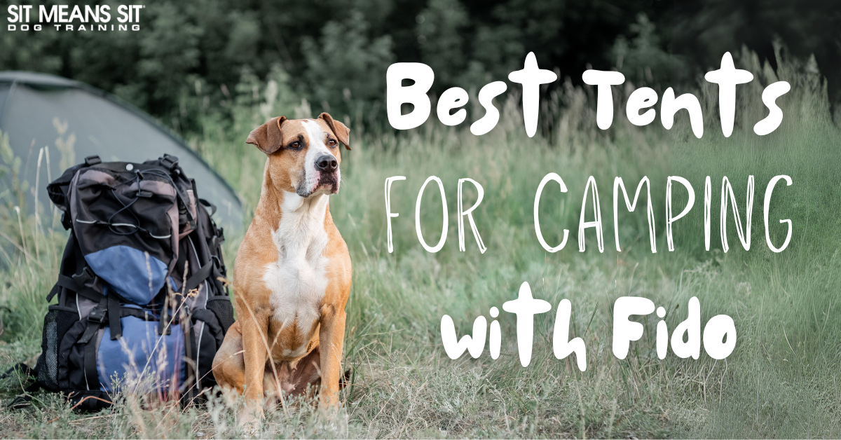 A dog sits next to a camping backpack, with text promoting the best tents for camping with pets.