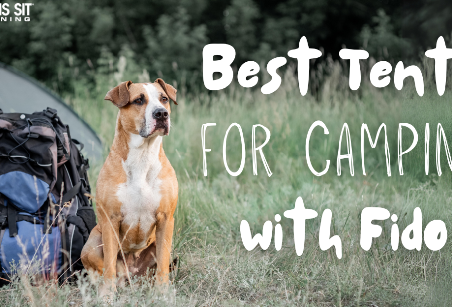 A dog sits next to a camping backpack, with text promoting the best tents for camping with pets.