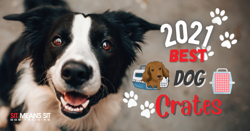 2021 Best Dog Crates