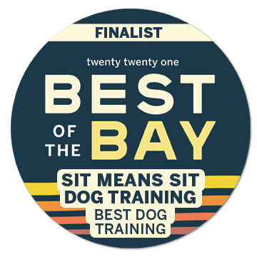 2021 Best of the Bay Dog Training Finalist