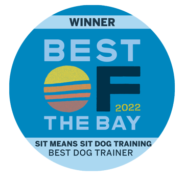 2022 Best of the Bay Dog Training Finalist
