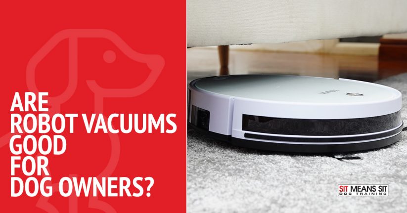 Are Robot Vacuums Good for Dog Owners?