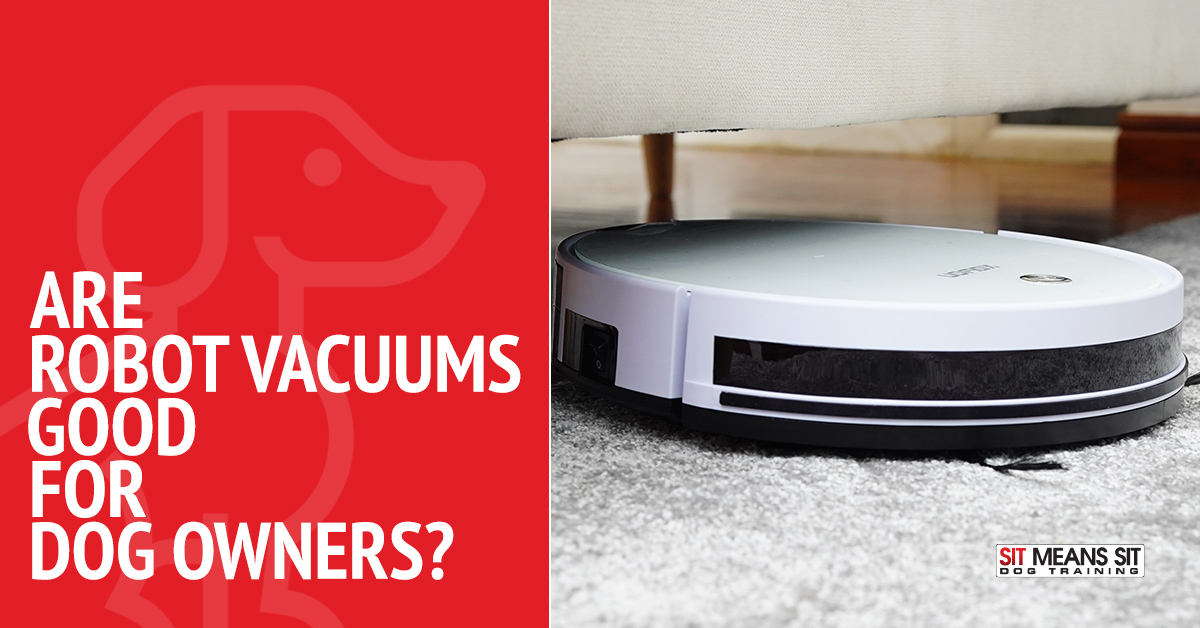 Are Robot Vacuums Good for Dog Owners?