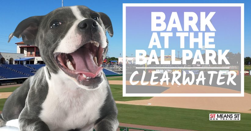 Bark at the Ballpark Clearwater