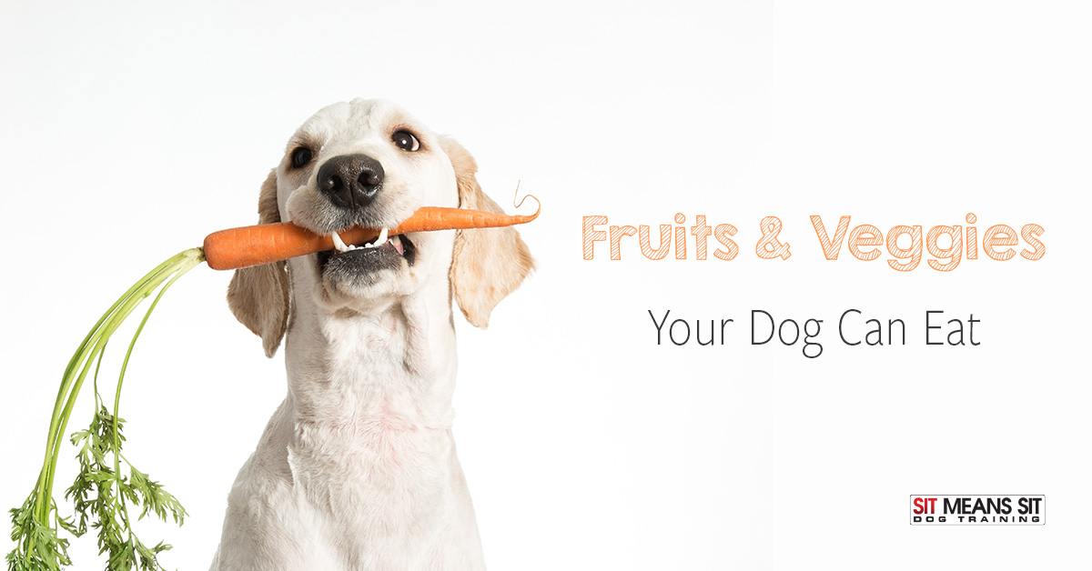 Fruits & Veggies Your Dog Can Eat