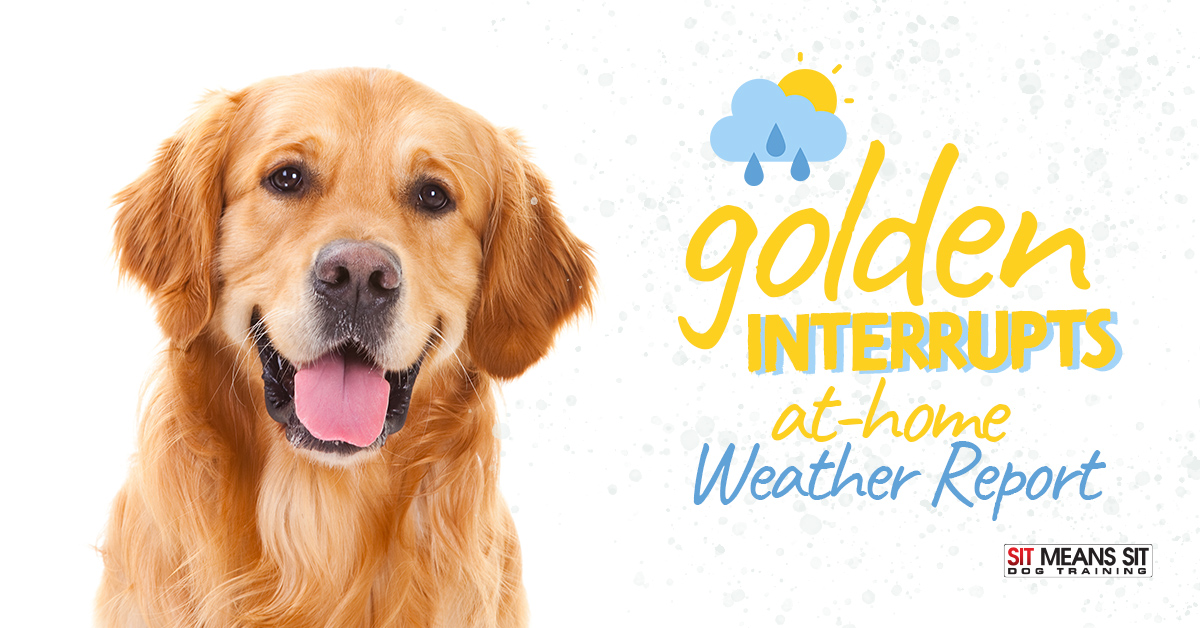 Golden Interrupts At-Home Weather Report