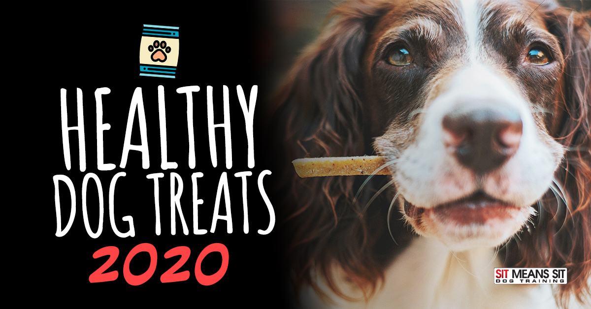 Healthy Dog Treats 2020