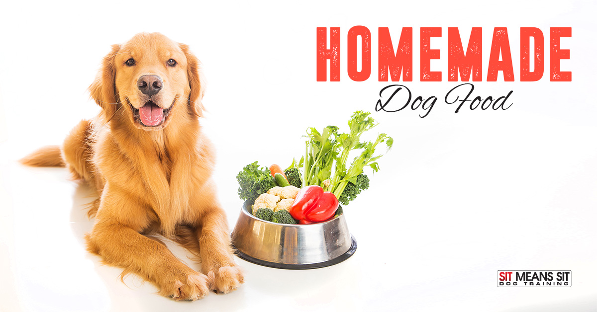 Things to Consider Before Switching to Homemade Dog Food