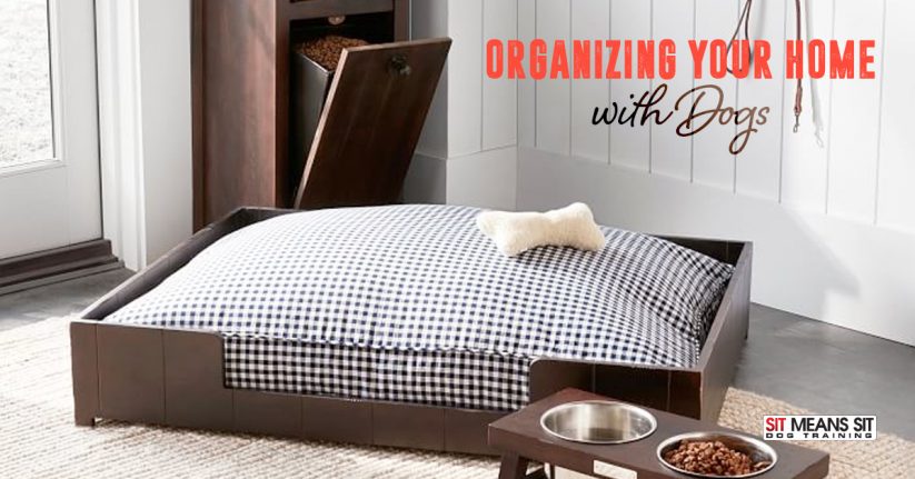 Organizing Your Home with Dogs
