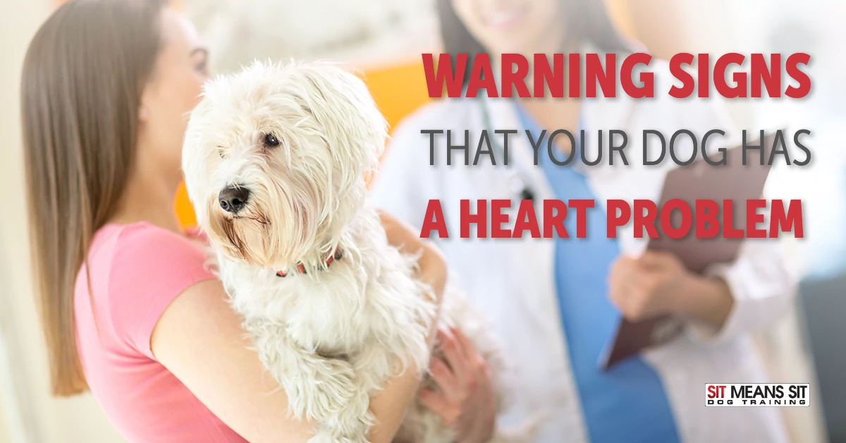 Warning Signs That Your Dog Has a Heart Problem