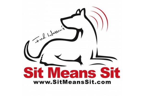 Teach your dog to "Sit" in motion