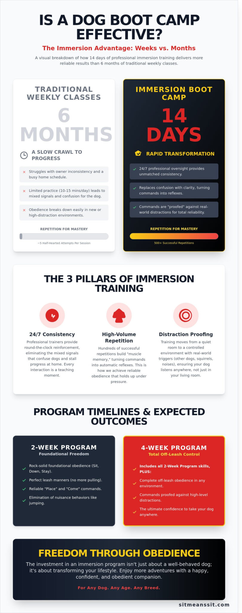 Are Dog Boot Camps Effective? Real Results vs. Common Myths