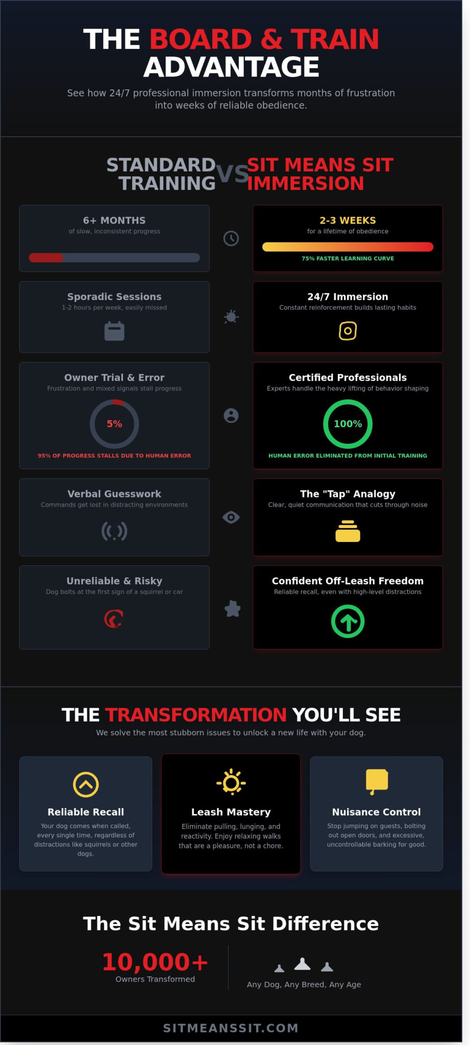 Board and Train: The Ultimate Guide to Immersive Dog Training