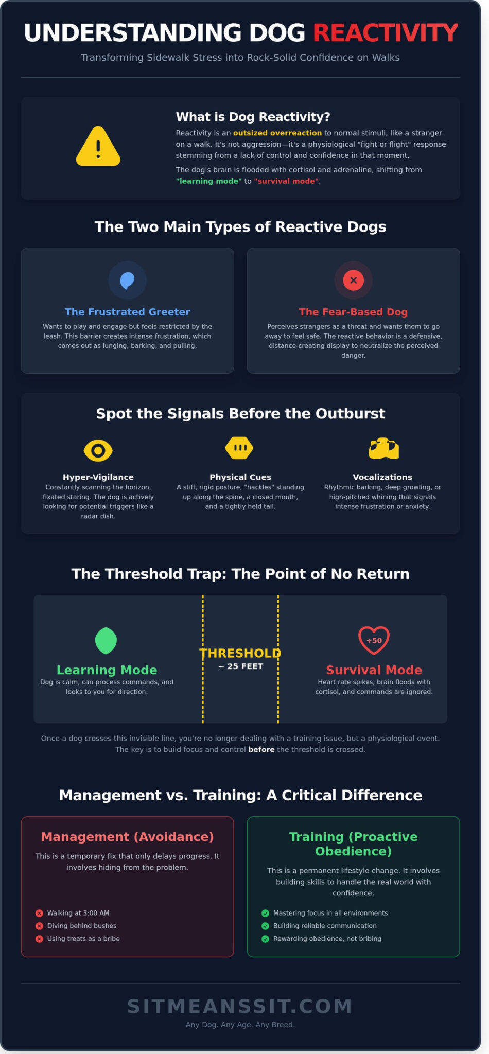 How to Stop Dog Reactivity to Strangers on Walks: A Guide to Stress-Free Outings