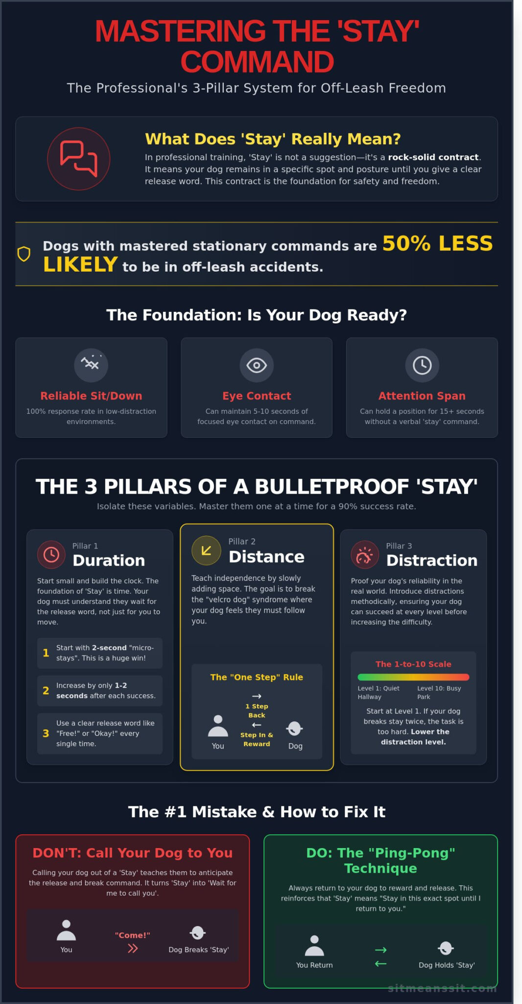How to Train Your Dog to Stay: The Pro Guide to Reliable Off-Leash Control