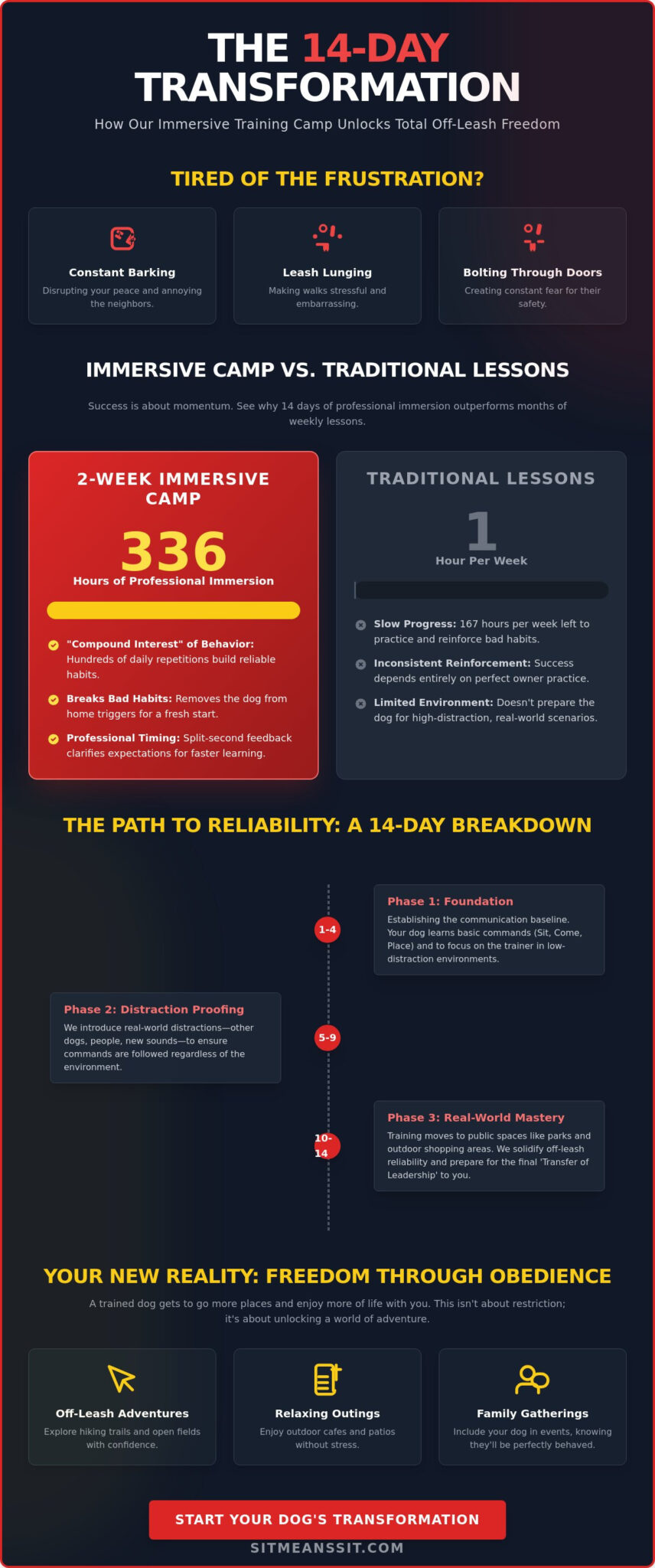 2-Week Dog Training Camp: The Immersive Path to Total Off-Leash Control