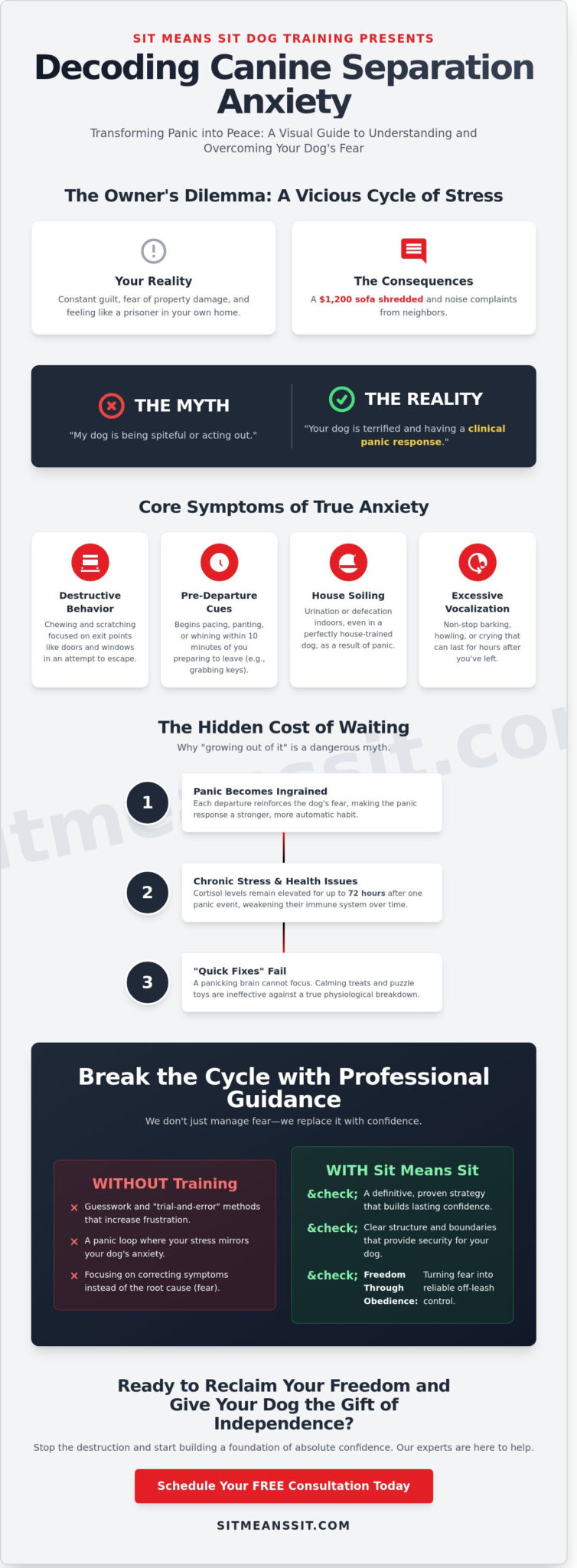 Dog Trainers for Separation Anxiety: Regaining Freedom and Confidence in 2026