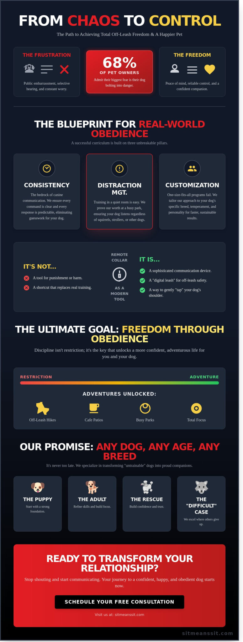 Dog Training School: How to Choose the Right Program for Total Control in 2026