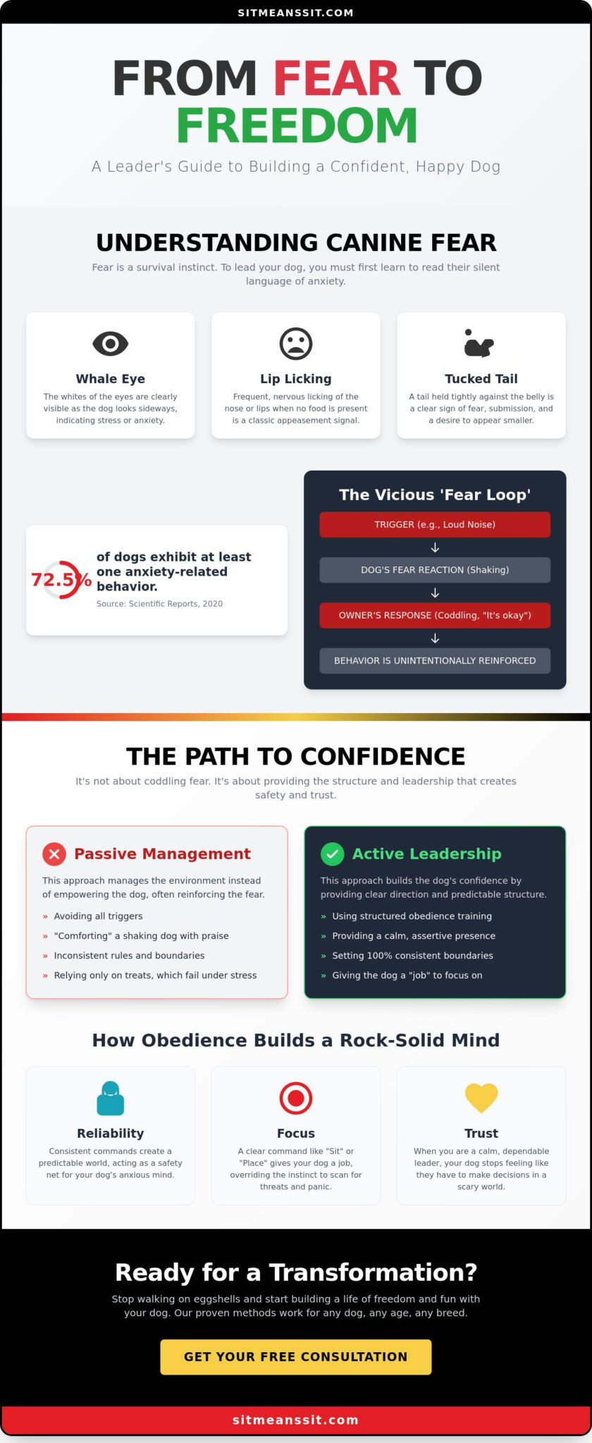 How to Build Confidence in a Fearful Dog: From Anxiety to Off-Leash Freedom