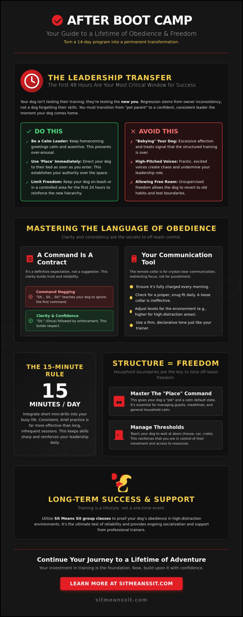 How to Maintain Training After Dog Boot Camp: The Ultimate Post-Graduation Guide