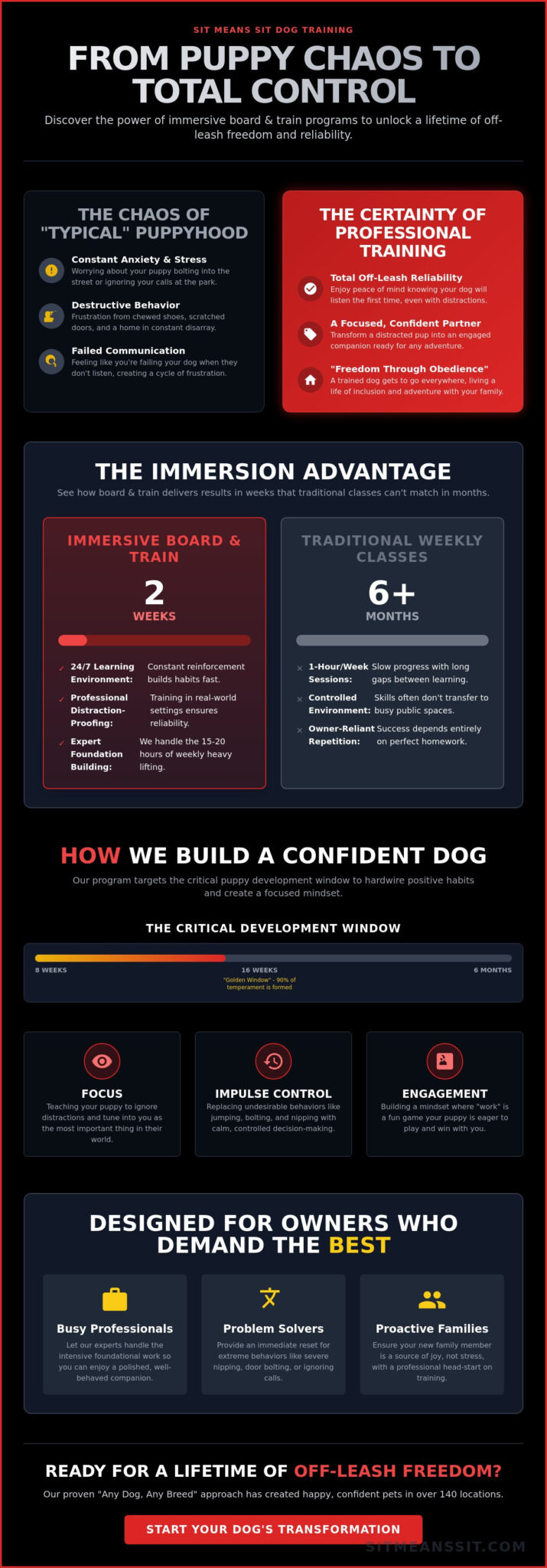 Puppy Board and Train: The Ultimate Immersion for a Lifetime of Off-Leash Freedom