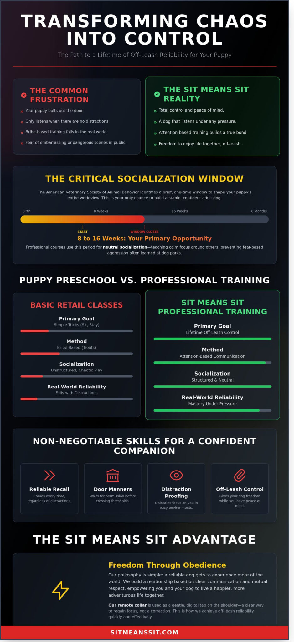 Puppy Courses That Deliver Real-World Results: Your Guide to a Reliable Dog in 2026